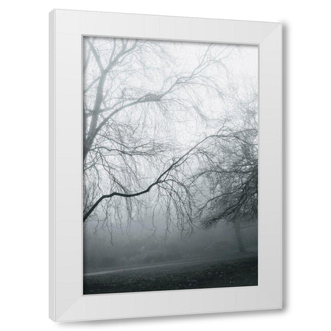 Foggy Winter Morning 2 White Modern Wood Framed Art Print by Allen, Elizabeth