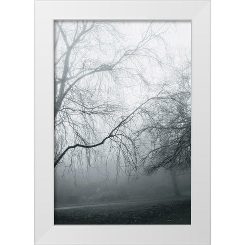 Foggy Winter Morning 2 White Modern Wood Framed Art Print by Allen, Elizabeth