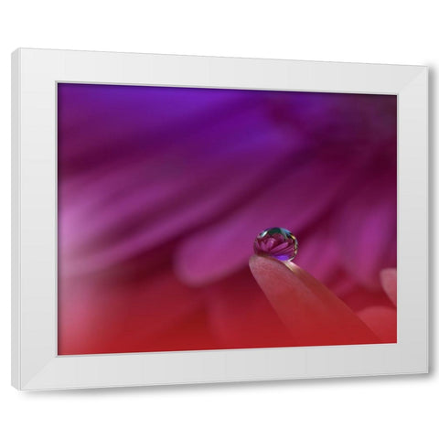 Prism Of Life.. White Modern Wood Framed Art Print by Nan, Juliana