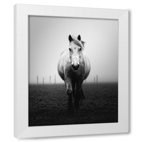 Confidence White Modern Wood Framed Art Print by Staelens, Christophe