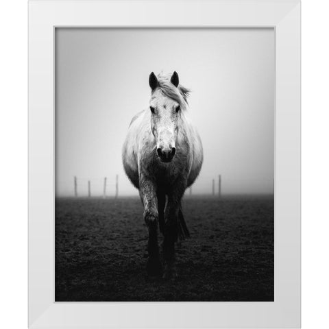 Confidence White Modern Wood Framed Art Print by Staelens, Christophe