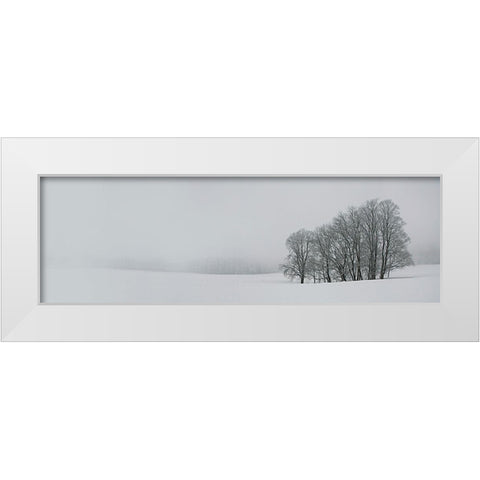 Albhochflaeche White Modern Wood Framed Art Print by Schumacher, Nicolas