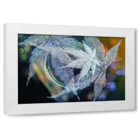 Trio White Modern Wood Framed Art Print by Kowatari, Shihya