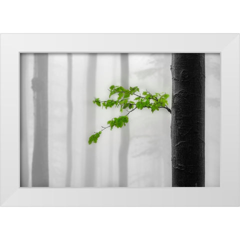 Green leaves White Modern Wood Framed Art Print by Pavlasek, Tom