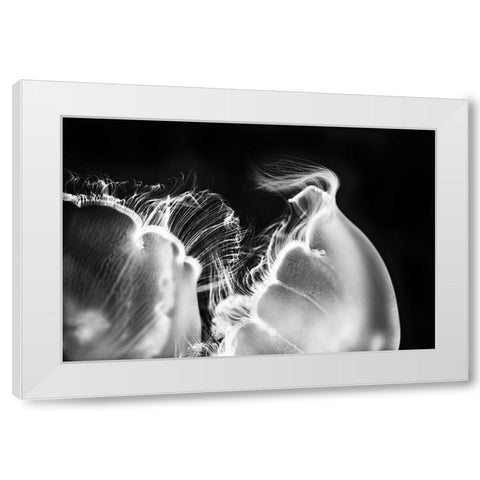 Untitled White Modern Wood Framed Art Print by Berry, Jerry
