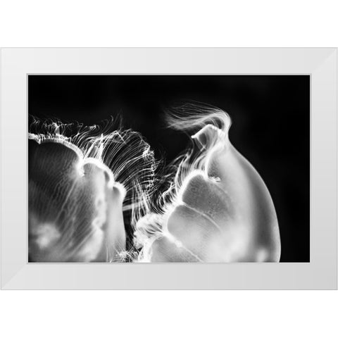 Untitled White Modern Wood Framed Art Print by Berry, Jerry