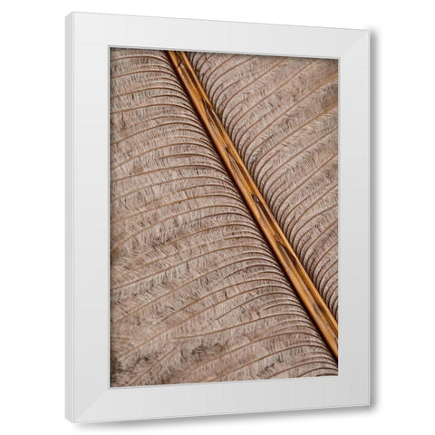 Feather_007 White Modern Wood Framed Art Print by 1x Studio III