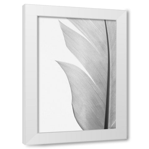Feather_004 White Modern Wood Framed Art Print by 1x Studio III