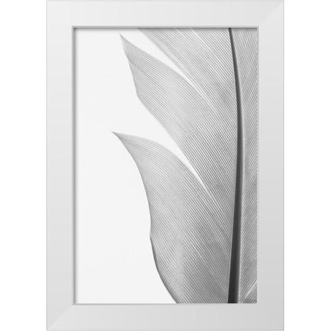 Feather_004 White Modern Wood Framed Art Print by 1x Studio III