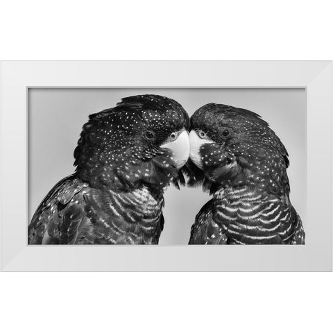 Time to Smootch White Modern Wood Framed Art Print by Moss, Susan