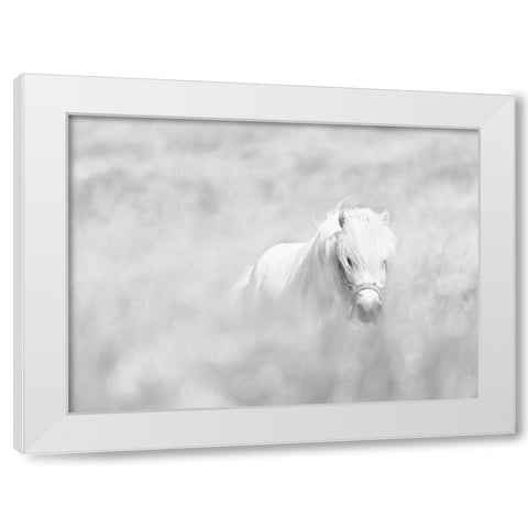 White Horse White Modern Wood Framed Art Print by Paritskiy, Oles