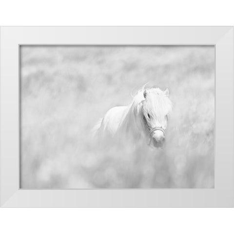 White Horse White Modern Wood Framed Art Print by Paritskiy, Oles
