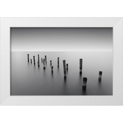 Invisible Links White Modern Wood Framed Art Print by Massera, Dante