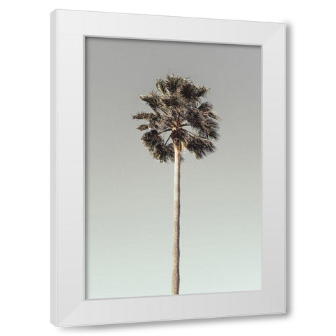 Palm_001 White Modern Wood Framed Art Print by 1x Studio III