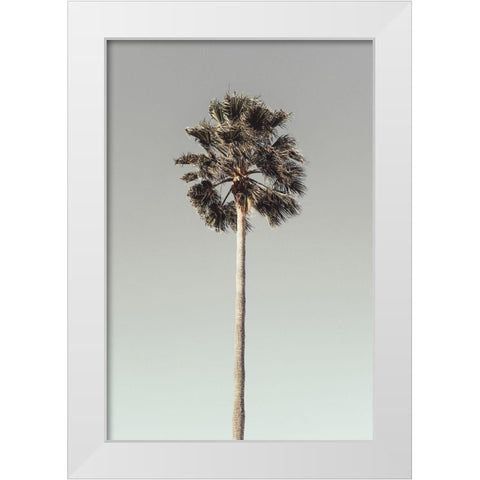 Palm_001 White Modern Wood Framed Art Print by 1x Studio III