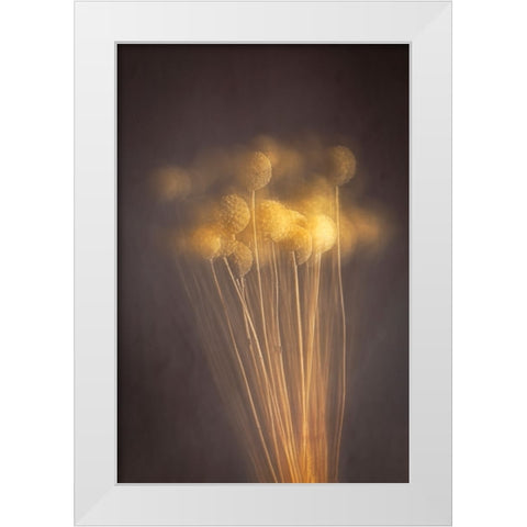 Curious Heads White Modern Wood Framed Art Print by Kiral, Cicek