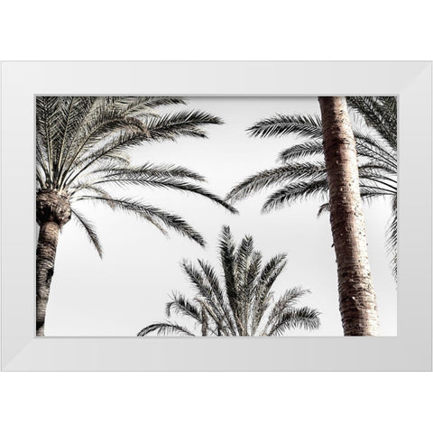 Palm_007 White Modern Wood Framed Art Print by 1x Studio III