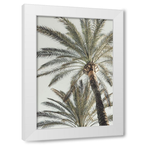 Palm_005 White Modern Wood Framed Art Print by 1x Studio III