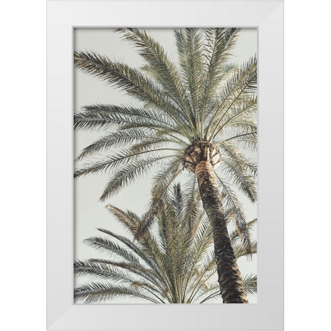 Palm_005 White Modern Wood Framed Art Print by 1x Studio III
