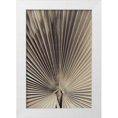 Palmblad_001 White Modern Wood Framed Art Print by 1x Studio III