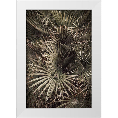 Palmblad_003 White Modern Wood Framed Art Print by 1x Studio III