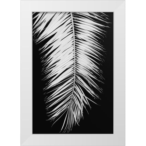 Palmblad_004 White Modern Wood Framed Art Print by 1x Studio III