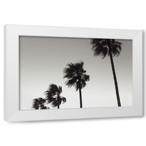 Palm_004 White Modern Wood Framed Art Print by 1x Studio III