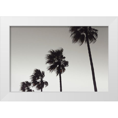 Palm_004 White Modern Wood Framed Art Print by 1x Studio III
