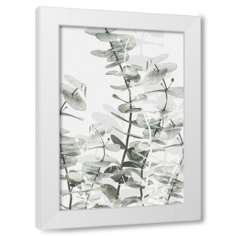 Eucalyptus_001 White Modern Wood Framed Art Print by 1x Studio III