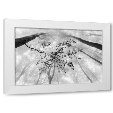 The branch White Modern Wood Framed Art Print by Pavlasek, Tom
