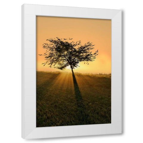 Dream of becoming big. White Modern Wood Framed Art Print by Londal, Leif