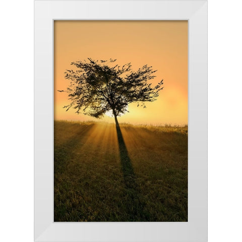 Dream of becoming big. White Modern Wood Framed Art Print by Londal, Leif