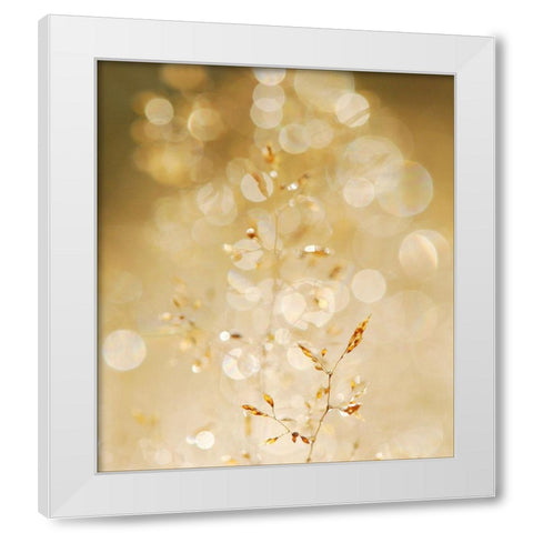 A bit closer 2/02 White Modern Wood Framed Art Print by Limberg, Huib