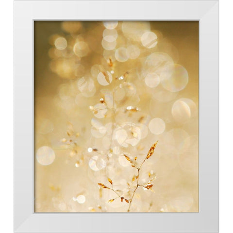 A bit closer 2/02 White Modern Wood Framed Art Print by Limberg, Huib