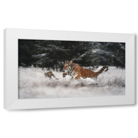 Joy On The Snow White Modern Wood Framed Art Print by Firesova, Michaela