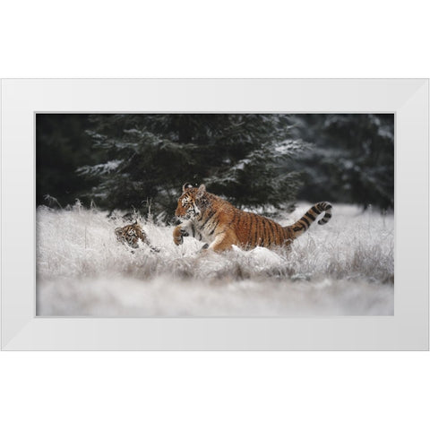 Joy On The Snow White Modern Wood Framed Art Print by Firesova, Michaela