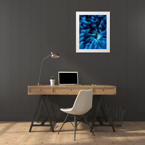 Blue chrysanthemum White Modern Wood Framed Art Print by Morozov, Konstantin