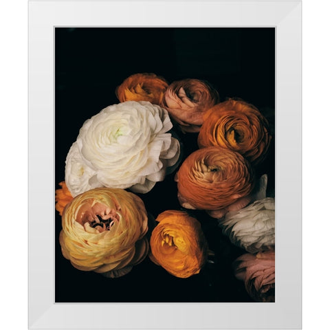 Ranunculus White Modern Wood Framed Art Print by FiguraNYC Photography