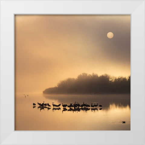 Gilded pond White Modern Wood Framed Art Print by Yakubovitch, Azriel
