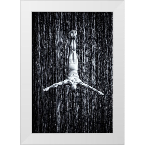 fine diving White Modern Wood Framed Art Print by Fleckenstein, Martin