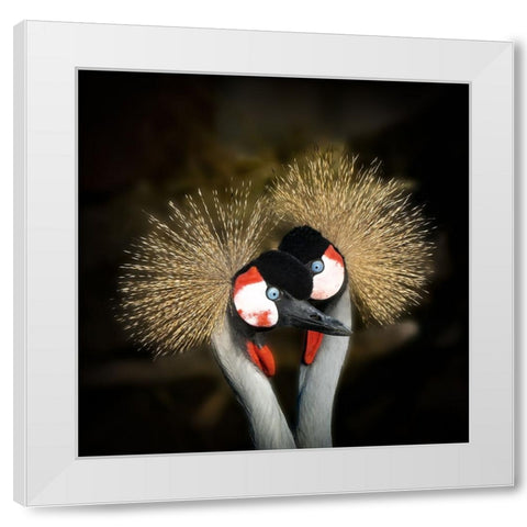 Makeup White Modern Wood Framed Art Print by Romaggi, Michel