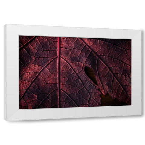 God geographic White Modern Wood Framed Art Print by Swid, Saleh