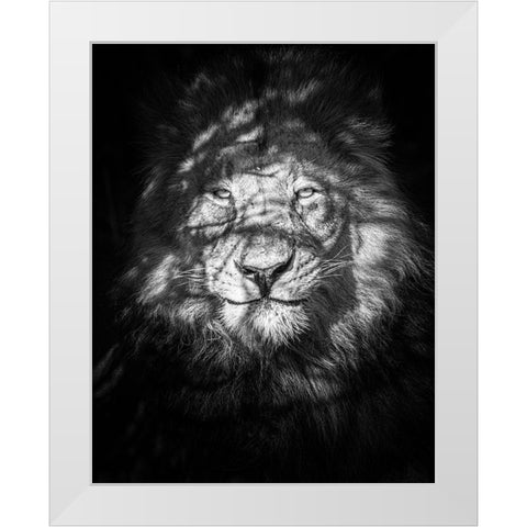 Being Watched White Modern Wood Framed Art Print by Taylor, Mike