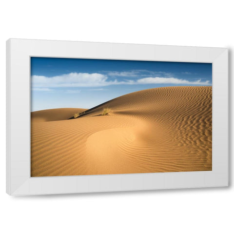 Curves White Modern Wood Framed Art Print by Babaei, Hosein