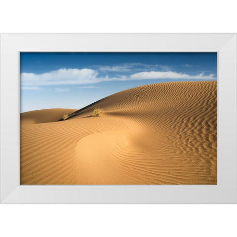 Curves White Modern Wood Framed Art Print by Babaei, Hosein