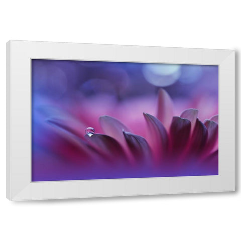 Blossoming Heart...II White Modern Wood Framed Art Print by Nan, Juliana