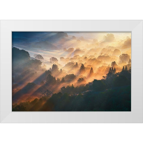 Morning Light White Modern Wood Framed Art Print by Li, Ryan