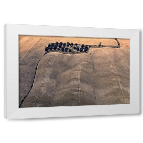 Oasis White Modern Wood Framed Art Print by Kravanja, Jure