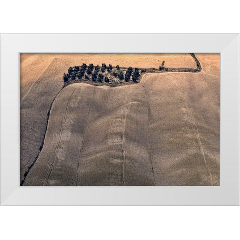 Oasis White Modern Wood Framed Art Print by Kravanja, Jure