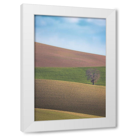 S.T. 025 White Modern Wood Framed Art Print by Gray, Dorian